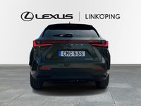 begagnad Lexus NX350h AWD Executive Teknikpaket Panorama Drag Euro 6