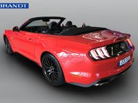 begagnad Ford Mustang GT Cabriolet 5,0 V8 Automatvxl
