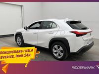 Begagnad Lexus UX 250h E-FOUR 184 HK (135 kW) 2020 Vit SUV