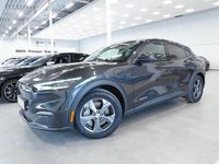 Begagnad Ford Mustang Mach-E Standard Range 221 kW (301 HK) 2022 Grå/silver SUV