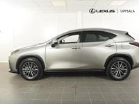 Begagnad Lexus NX450h+ Executive Line 306 HK (225 kW) 2023 Ljusgrå SUV