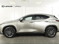 Begagnad Lexus NX450h+ Executive Line 309 HK (227 kW) 2023 Ljusgrå SUV