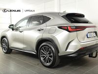 Begagnad Lexus NX450h+ Executive Line 309 HK (227 kW) 2023 Ljusgrå SUV