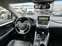 begagnad Lexus NX300h AWD Executive Pr-Navi LSS+ Euro 6