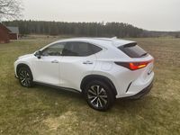 begagnad Lexus NX450h+ NX 450h+ Business plus