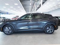 Begagnad Ford Mustang Mach-E Standard Range 221 kW (301 HK) 2022 Grå/silver SUV