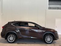 Begagnad Lexus NX300h Executive Line 197 HK (144 kW) 2015 Mörkbrun SUV