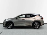 Begagnad Lexus NX350h Executive Line 245 HK (180 kW) 2023 Ljusgrå SUV