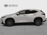 Begagnad Lexus NX450h+ Executive Line 309 HK (227 kW) 2023 Vit SUV