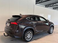 Begagnad Lexus NX300h Executive Line 197 HK (144 kW) 2015 Mörkbrun SUV