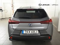 begagnad Lexus UX 250h Comfort Teknikpkt Plus Nav 2020, SUV