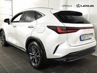 begagnad Lexus NX450h+ NX 450h+ Executive Teknikpaket Plug -In