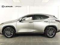 Begagnad Lexus NX450h+ Executive Line 309 HK (227 kW) 2023 Ljusgrå SUV
