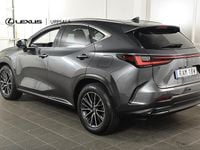 Begagnad Lexus NX450h+ Executive Line 306 HK (225 kW) 2023 Grå SUV