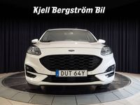 begagnad Ford Kuga Plug-In Hybrid E-CVT ST-Line 225hk Drag