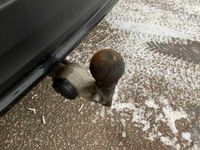 Begagnad Volvo C40 Single Motor 172 kW (234 HK) 2023 Svart SUV