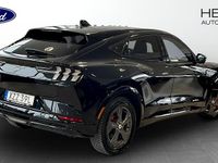 Begagnad Ford Mustang 351 HK (258 kW) 2021 Halvkombi