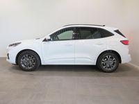 begagnad Ford Kuga ST-Line Plug-In Hybrid 225hk 8-DCT | Eluppvärmd ratt