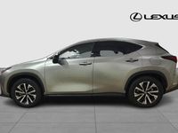 Begagnad Lexus NX450h+ Business Edition 313 HK (230 kW) 2024 Ljusgrå SUV