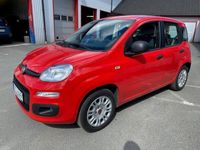 begagnad Fiat Panda 1.2 8V Euro 6, 1 ägare, m-värm 2019, Halvkombi