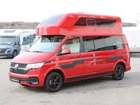 begagnad VW Transporter Mercus, , Camper van, Plåtis 2023, Transportbil