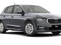 Ny Skoda Fabia 2025 Grå