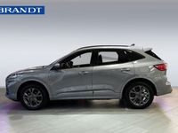 begagnad Ford Kuga Plug-In Hybrid | St - line X | B&O | Drag | Kamera fram & bak |