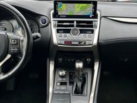 begagnad Lexus NX300h AWD Executive Pr-Navi LSS+ Drag Euro 6