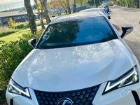 Begagnad Lexus UX 250h E-FOUR 184 HK (135 kW) 2019 SUV