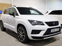 Begagnad Cupra Ateca 301 HK (221 kW) 2019 Vit SUV