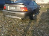 begagnad Ford Mustang SVT Cobra