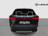 Begagnad Lexus NX350h Executive Line 245 HK (180 kW) 2023 Grå SUV