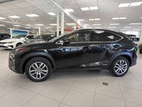 begagnad Lexus NX300h AWD Executive | Drag | 2018, SUV