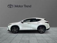 Begagnad Lexus NX450h+ Luxury Line 313 HK (230 kW) 2022 Vit SUV