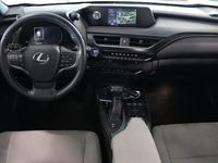 begagnad Lexus UX 250h Hybrid Drag Navi Backkamera Adaptiv Farthållare 2019, SUV