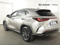 Begagnad Lexus NX450h+ Executive Line 306 HK (225 kW) 2023 Ljusgrå SUV