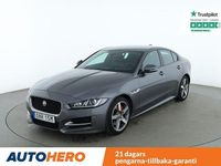 Begagnad Jaguar XE R-Sport 203 HK (149 kW) 2019 Mörkgrå Sedan