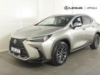 Begagnad Lexus NX450h+ Executive Line 306 HK (225 kW) 2023 Ljusgrå SUV