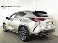 Begagnad Lexus NX450h+ Executive Line 309 HK (227 kW) 2023 Ljusgrå SUV