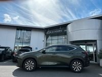 begagnad Lexus NX450h+ NX 450h+ AWD Executive Teknik-pkt Drag E-CVT Euro 6