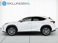Begagnad Lexus NX300h Executive Line 197 HK (144 kW) 2019 Vit SUV