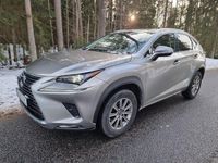Begagnad Lexus NX300h Executive Line 197 HK (144 kW) 2019 Grå SUV