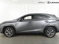 begagnad Lexus NX300h AWD F-Sport /Drag