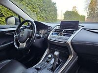 Begagnad Lexus NX300h Business Edition 197 HK (144 kW) 2015 SUV