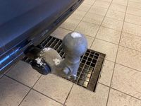 Begagnad Volvo XC40 Single Motor 175 kW (238 HK) 2023 Grå SUV