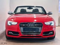 begagnad Audi S5 Cabriolet 3.0 TFSI V6 Q Stertman Navi Nackvärme