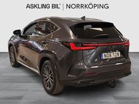 Begagnad Lexus NX350h Business Edition 242 HK (177 kW) 2025 Grå SUV