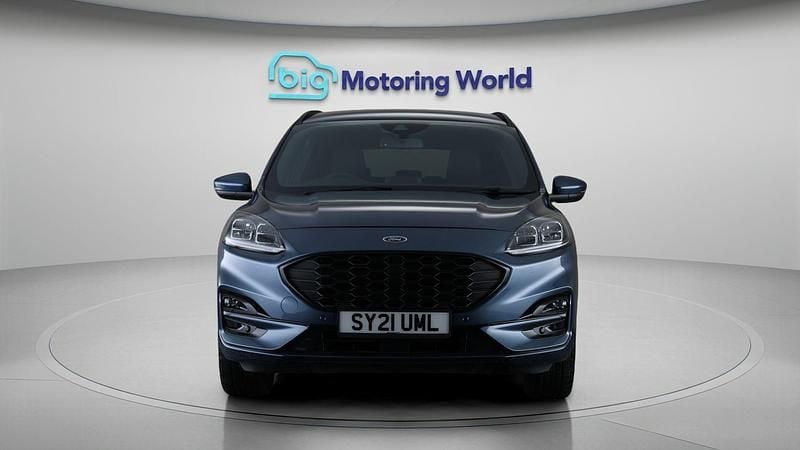 Used Ford Kuga ST-Line 222 HP (163 kW) 2021 SUV