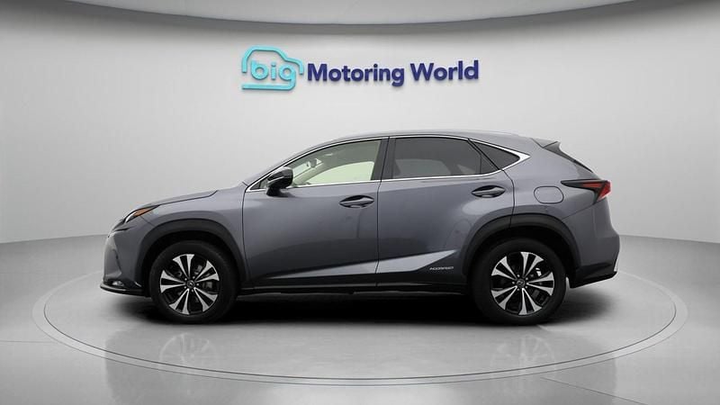Used Lexus NX300h 194 HP (142 kW) 2021 Grey SUV