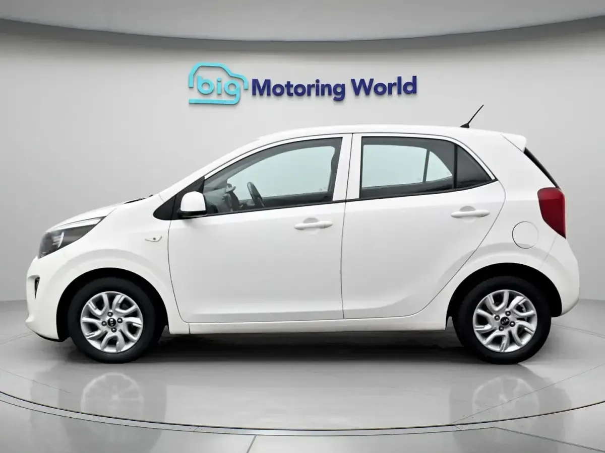 Used Kia Picanto 84 HP (61 kW) 2019 White Hatchback